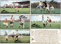 Sammelbilder-Gartmann 571