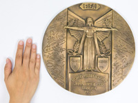 Bronzeplakette WM 1958